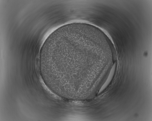 X0000116010911200912101338