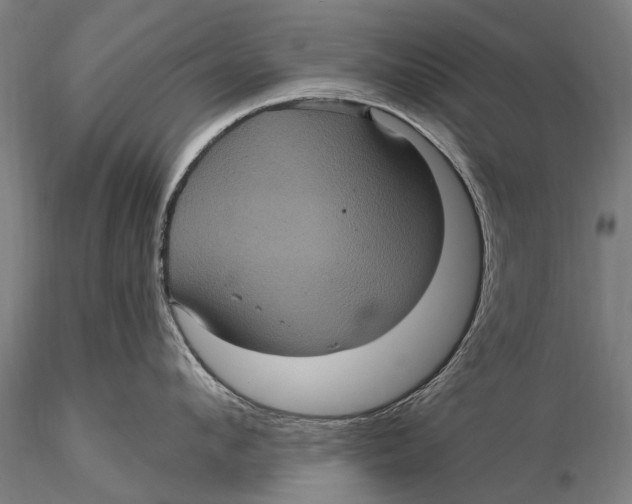 X0000116010912200912101338