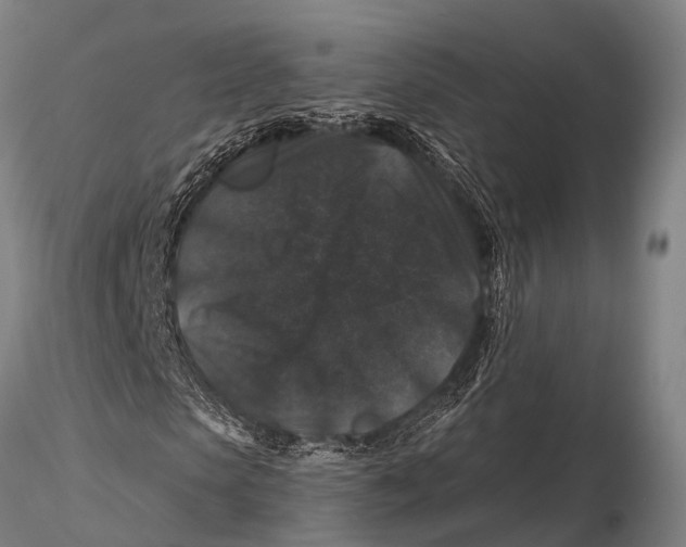 X0000116010913200912101338