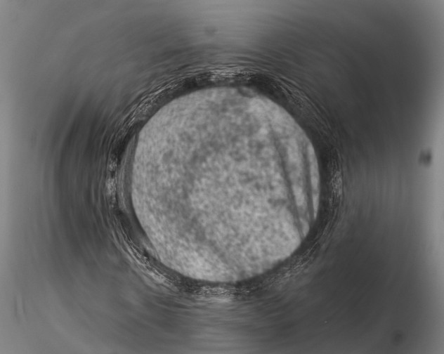 X0000116010914200912101338