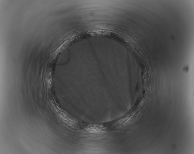 X0000116010915200912101338