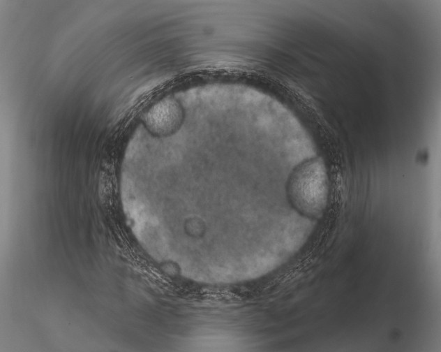 X0000116010918200912101338