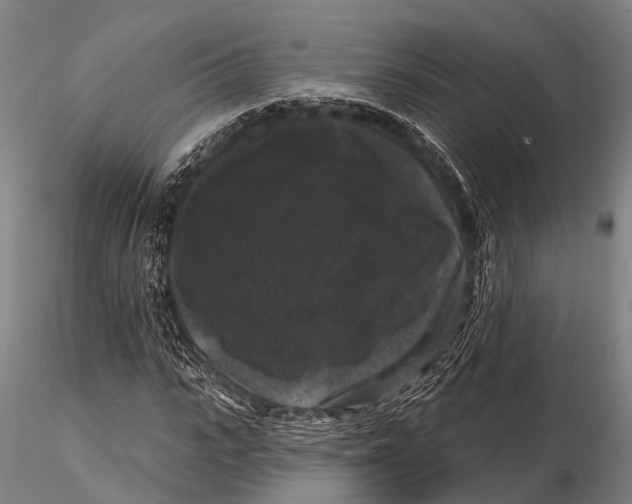 X0000116010919200912101338