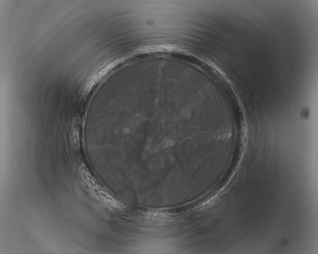 X0000116010921200912101338