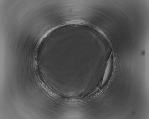 X0000116010923200912101338