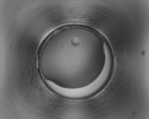 X0000116010925200912101338