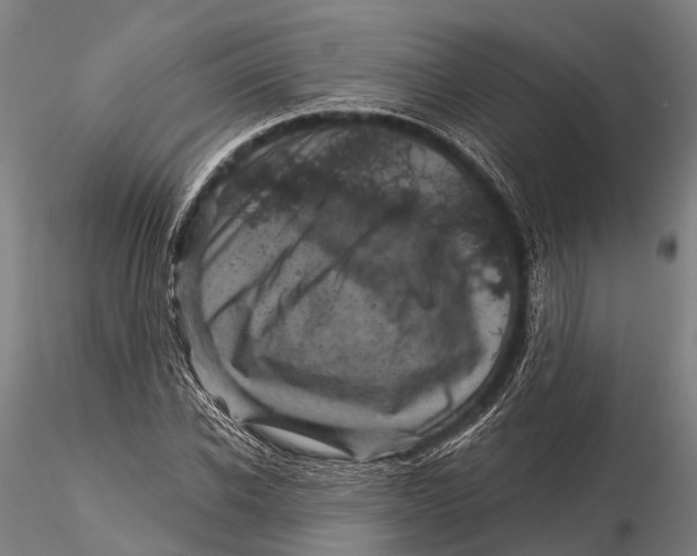 X0000116010926200912101338