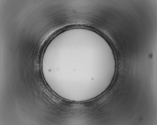 X0000116010927200912101338