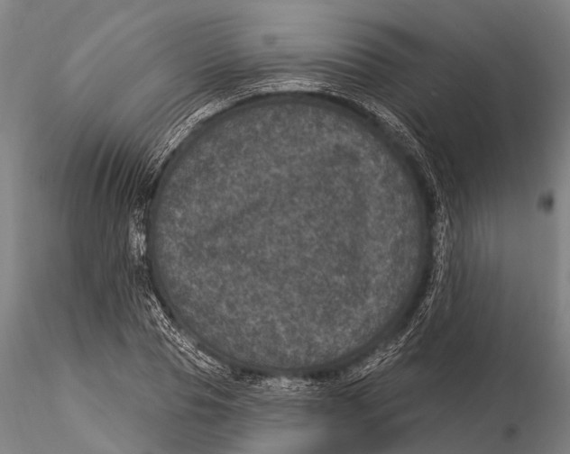 X0000116010929200912101338