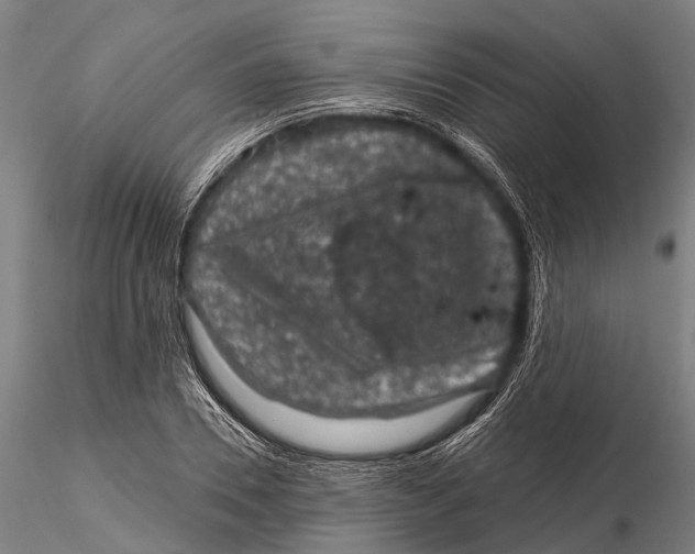 X0000116010930200912101338