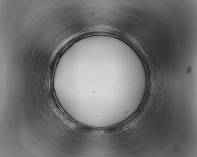 X0000116010931200912101338