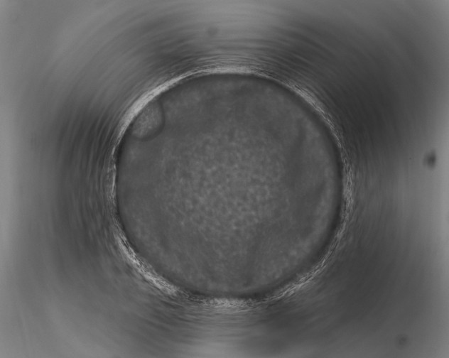 X0000116010933200912101338