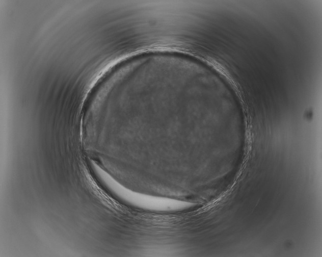 X0000116010934200912101338