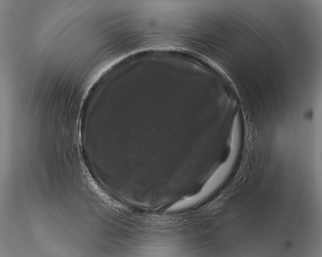 X0000116010935200912101338