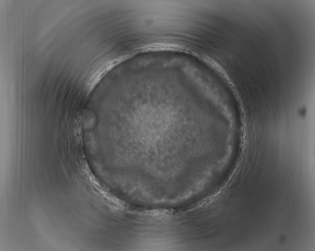 X0000116010937200912101338