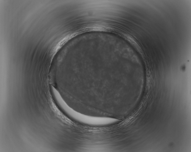 X0000116010938200912101338