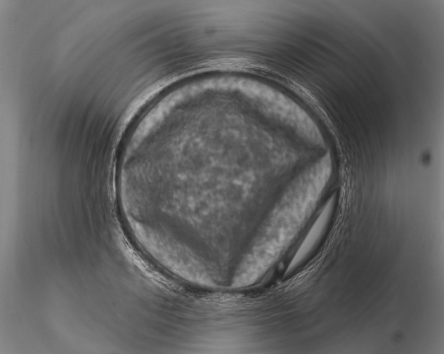 X0000116010939200912101338