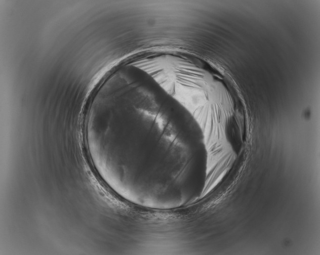 X0000116010941200912101338