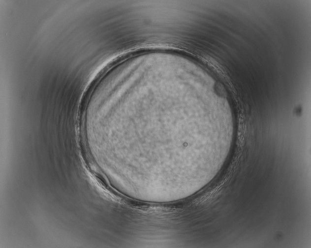 X0000116010942200912101338