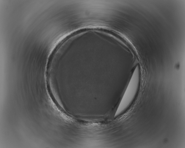 X0000116010943200912101338