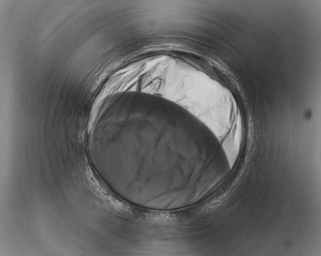 X0000116010945200912101338