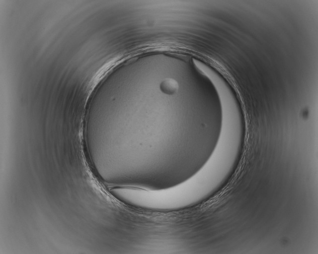 X0000116010946200912101338