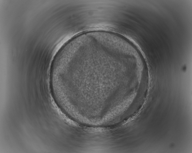 X0000116010949200912101338