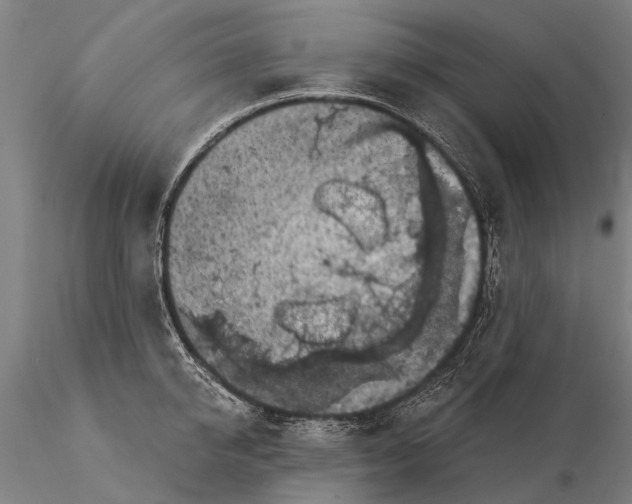 X0000116010950200912101338