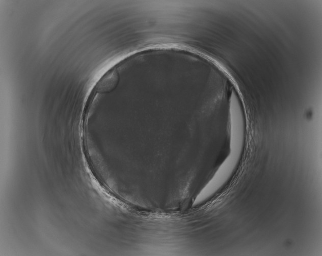 X0000116010951200912101338