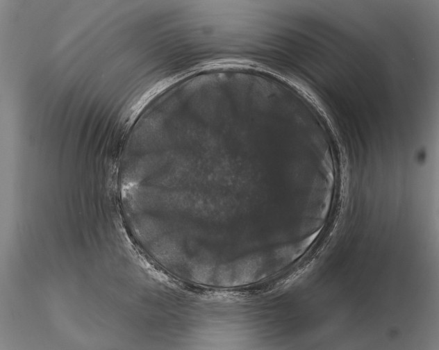 X0000116010953200912101338