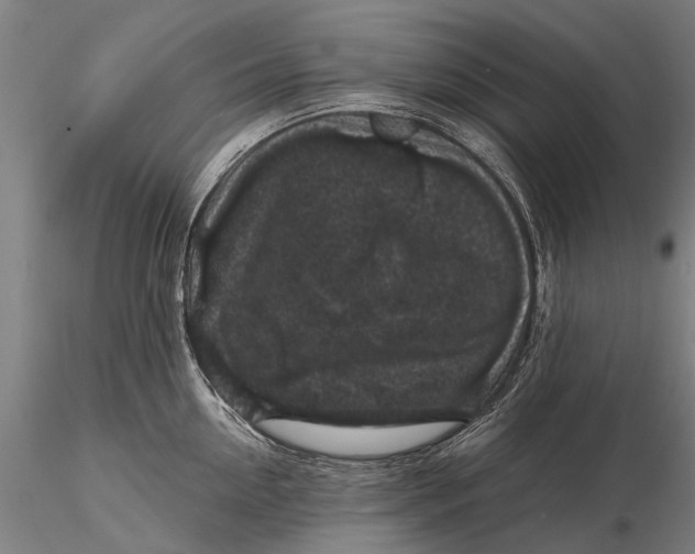 X0000116010954200912101338