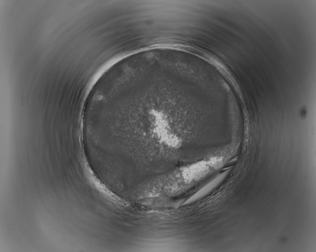 X0000116010955200912101338