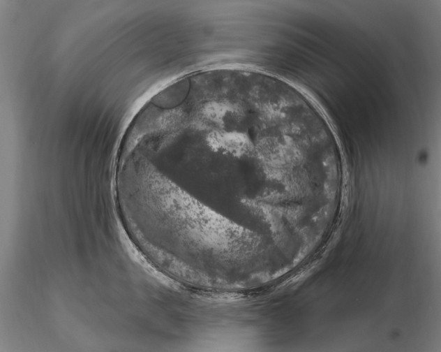 X0000116010957200912101338