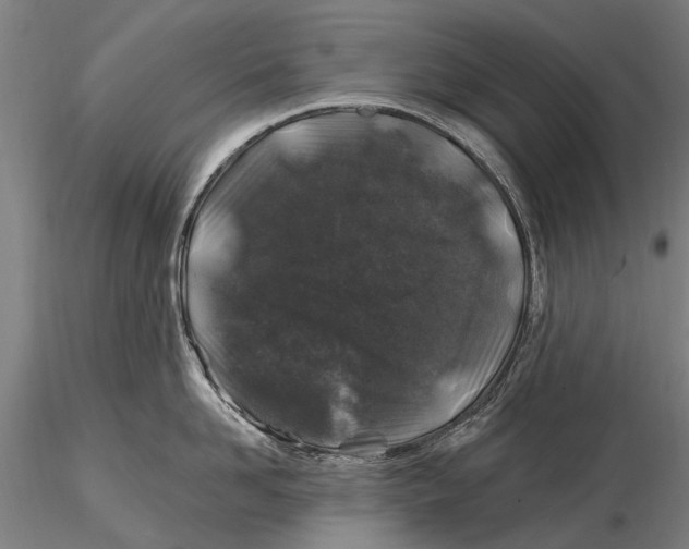 X0000116010958200912101338