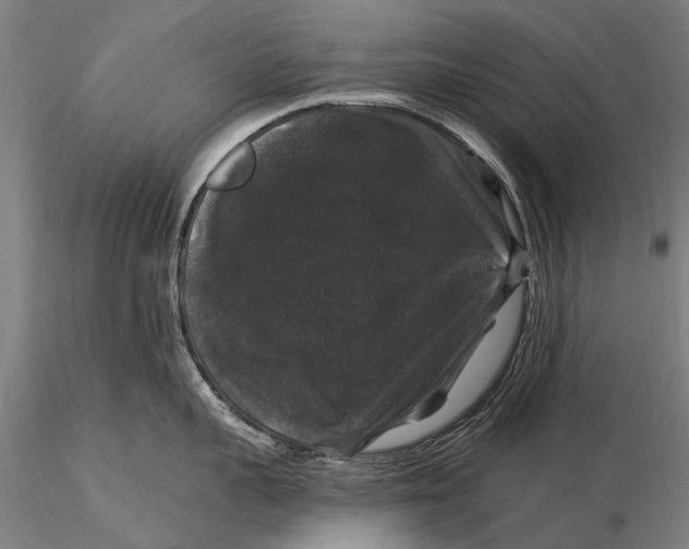 X0000116010959200912101338