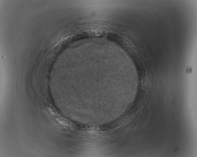 X0000116010961200912101338