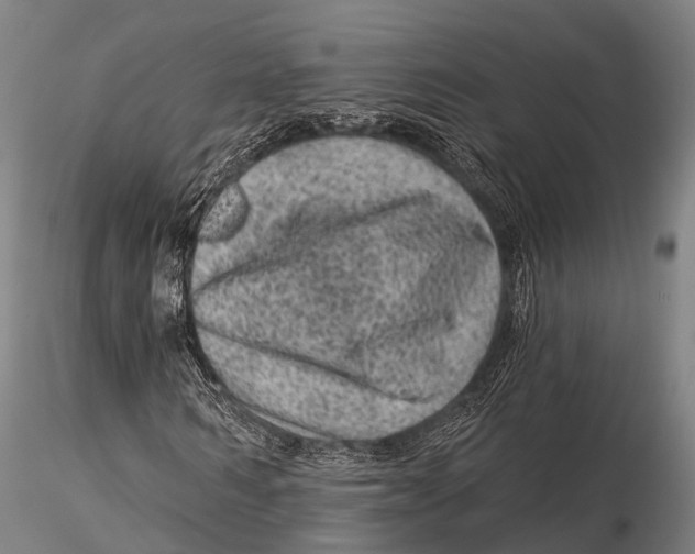 X0000116010962200912101338