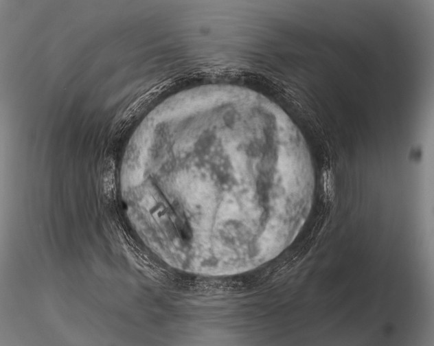 X0000116010963200912101338