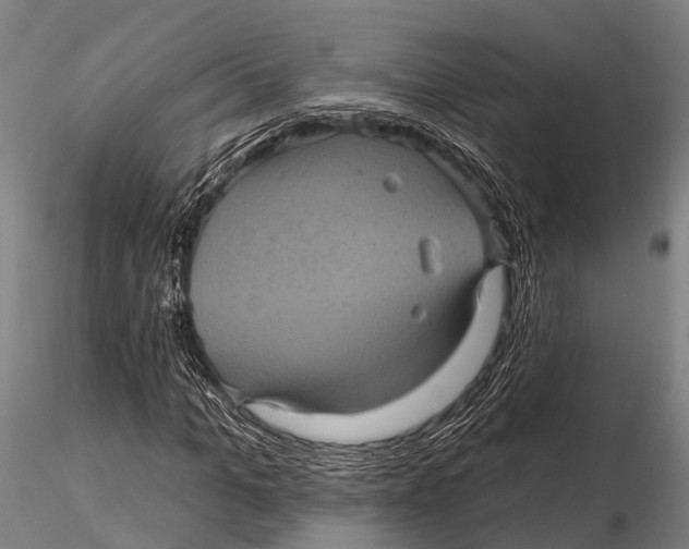 X0000116010965200912101337