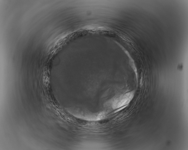 X0000116010966200912101337