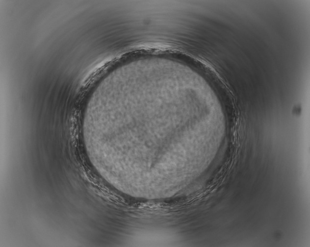 X0000116010967200912101337