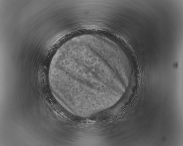 X0000116010968200912101337