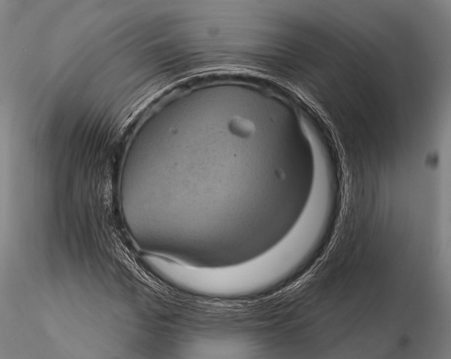 X0000116010969200912101337