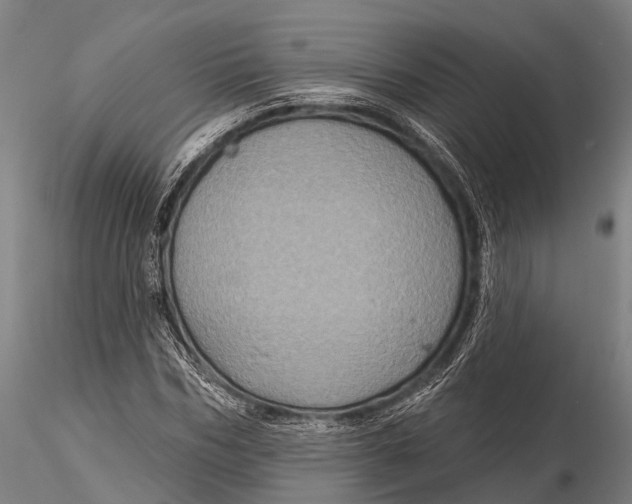 X0000116010970200912101337