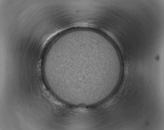 X0000116010971200912101337