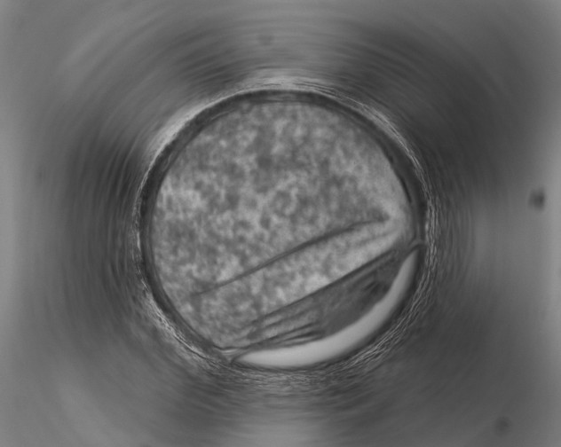 X0000116010972200912101337