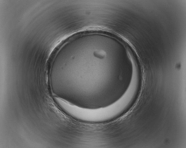 X0000116010973200912101337