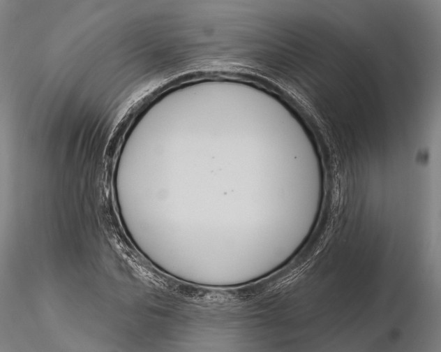 X0000116010974200912101337