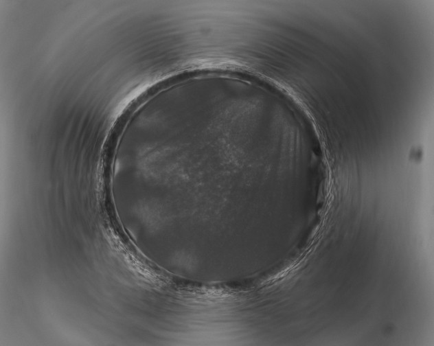 X0000116010975200912101337