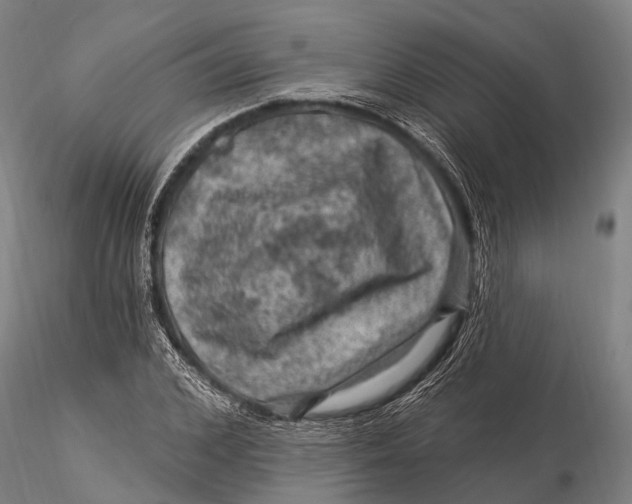 X0000116010976200912101337